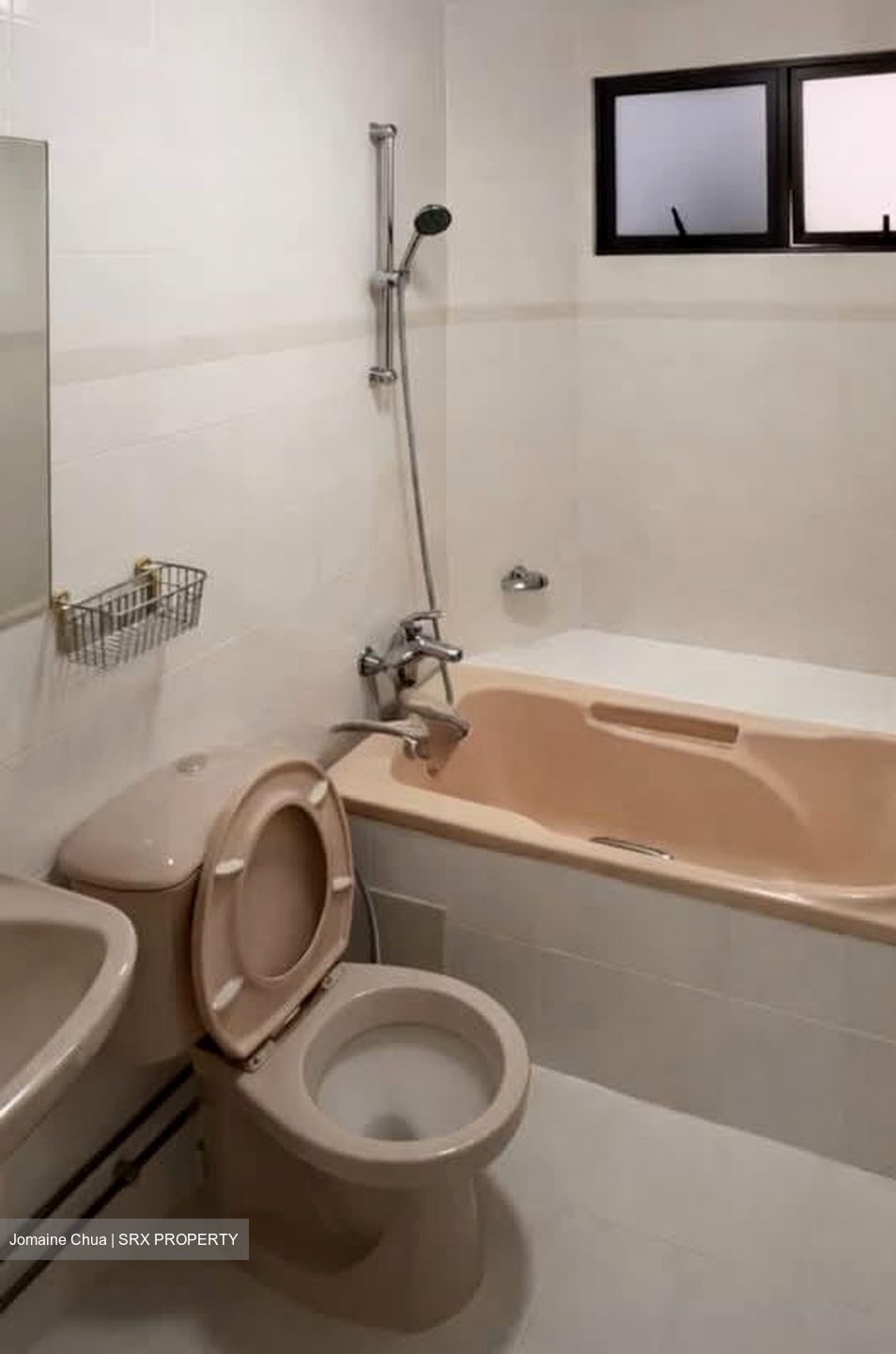 Bayshore Park (D16), Condominium #598309161